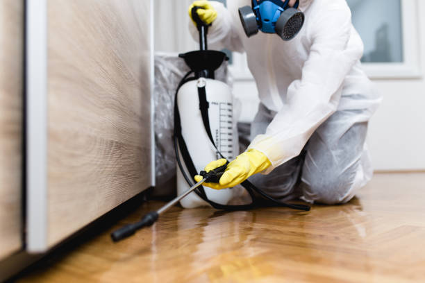 Professional Pest Control in Newbern, TN