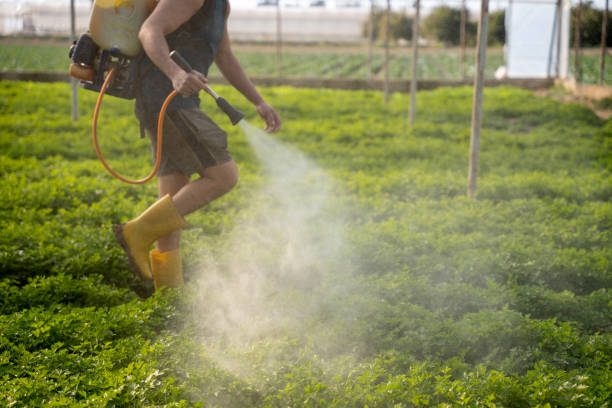 Best Affordable Exterminators  in Newbern, TN