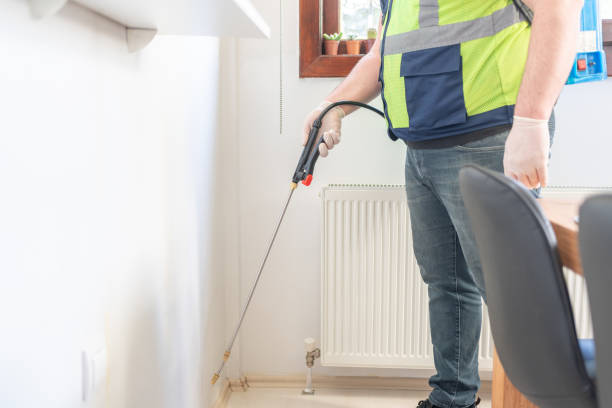 Best Flea Control Services  in Newbern, TN