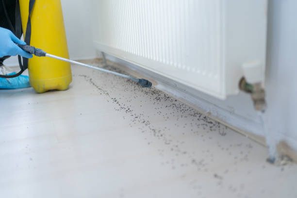Best Best Pest Control Companies  in Newbern, TN