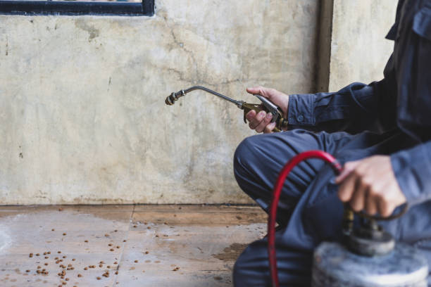 Best Residential Pest Control  in Newbern, TN