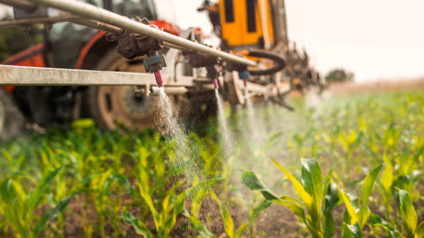 Pest Prevention Services in Newbern, TN